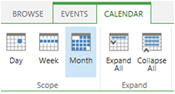 Calendar View