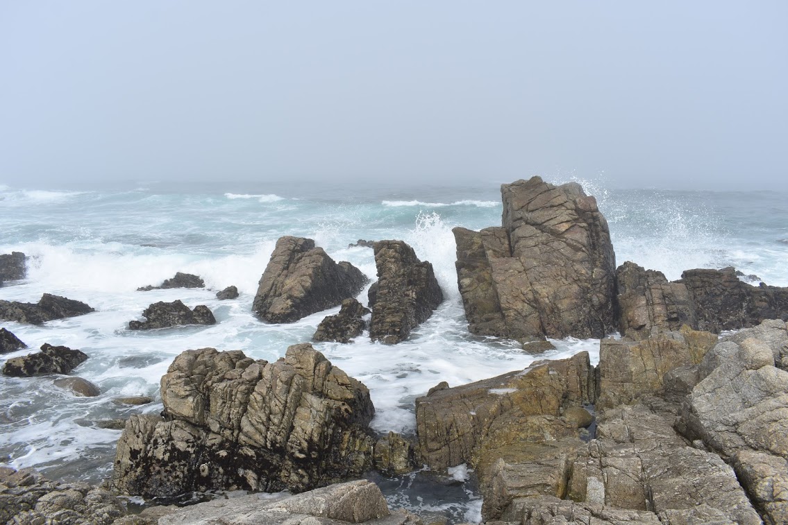 Rocks damming water from flowing back with the receding wave – Steven A ...